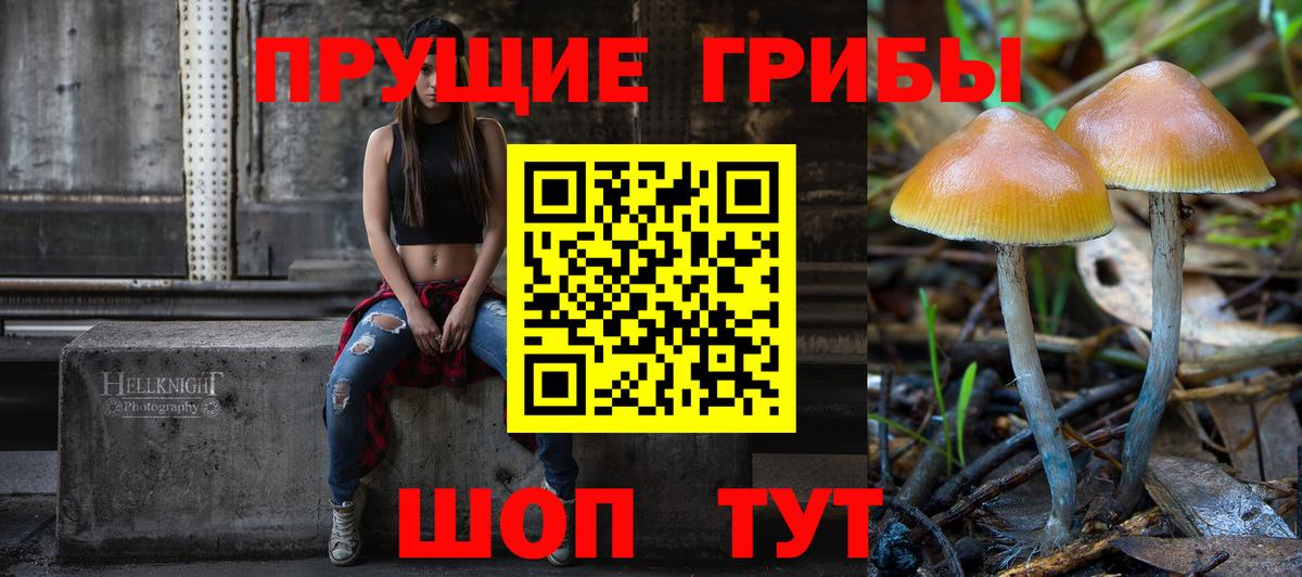 Муром  Галлюциногенные грибы GOLDEN TEACHER  Вход с VPN 